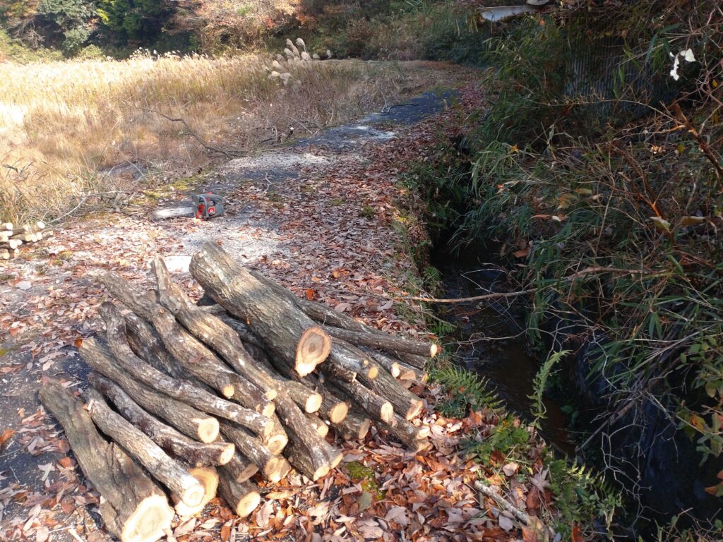 原木シイタケ栽培